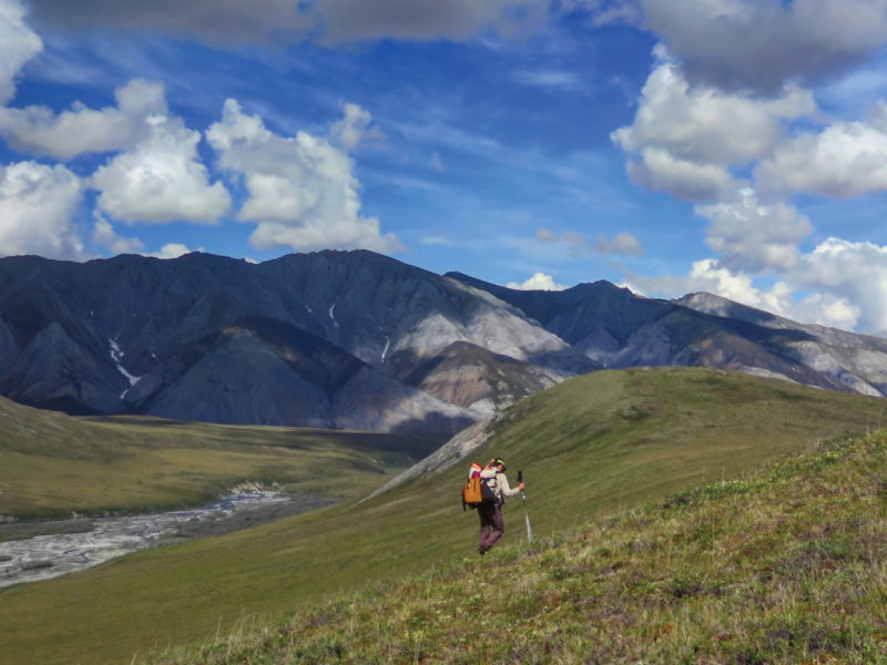 Backpacker travels through the Arctic National Wildlife Refuge