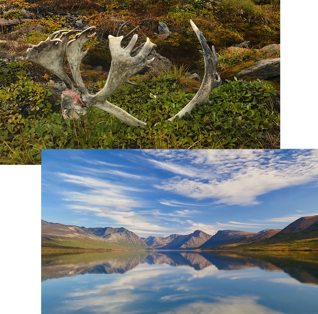 Reflection of a Lake in Katmai National Park and a caribou skull in the Arctic National Wildlife Refuge