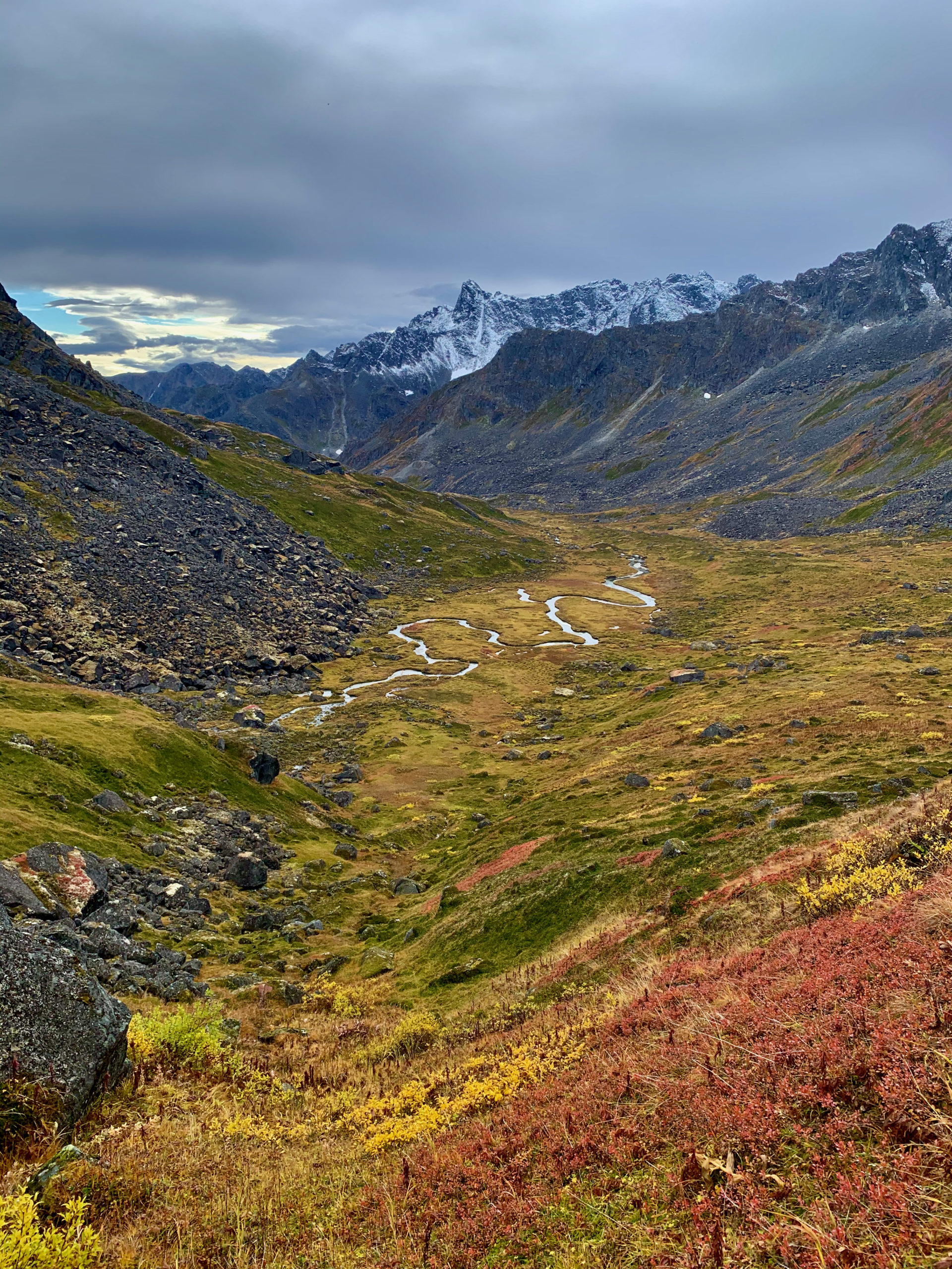 Fall colors in the Talkeetna Mountains