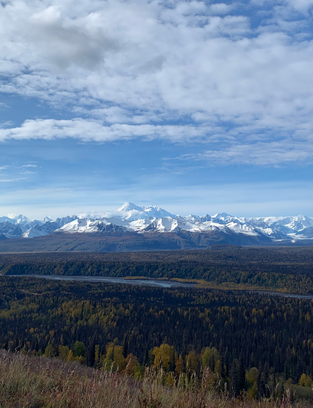 Denali views while backpacking in the Talkeetna Mountains